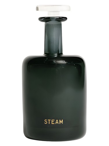 Steam by Perfumer H