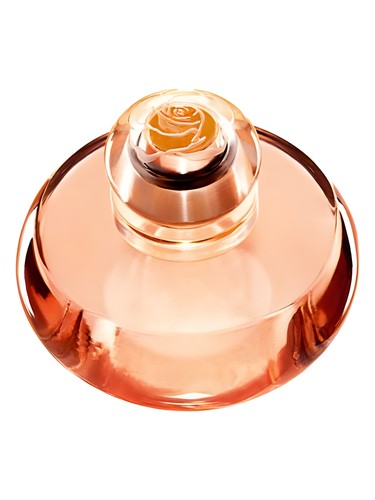 Volare by Oriflame