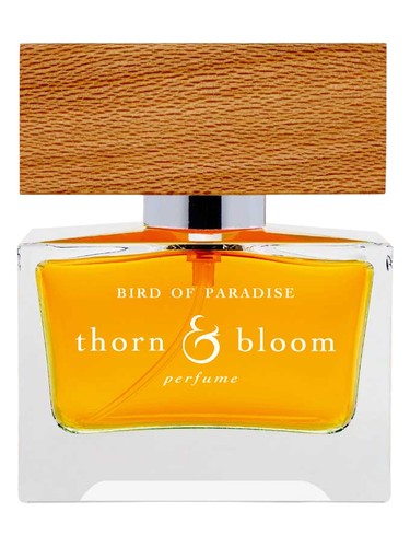 Bird of Paradise by Thorn & Bloom