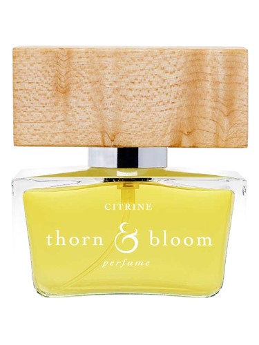 Citrine by Thorn & Bloom