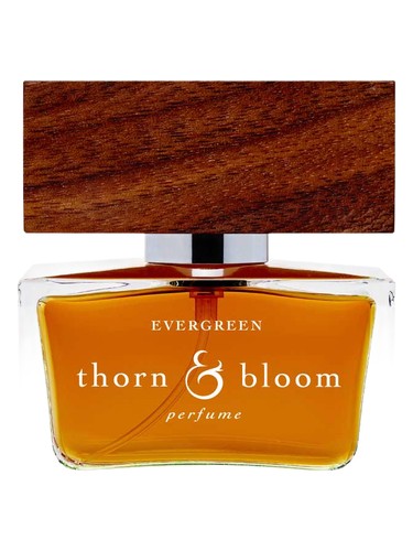 Evergreen by Thorn & Bloom