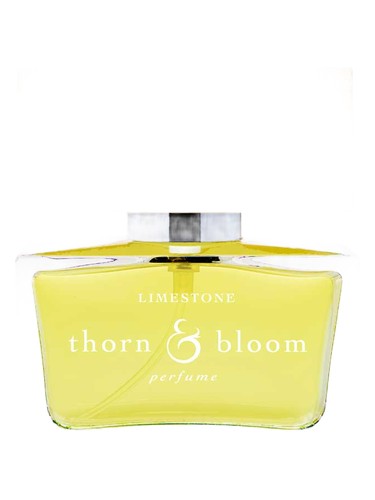 Limestone by Thorn & Bloom