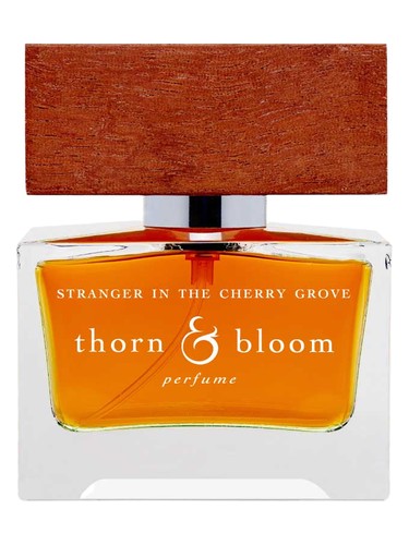 Stranger in the Cherry Grove by Thorn & Bloom