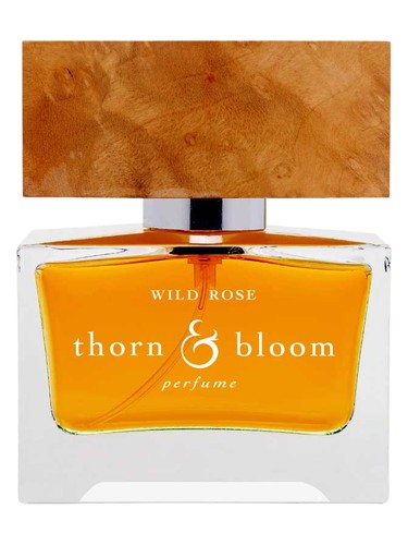 Wild Rose by Thorn & Bloom