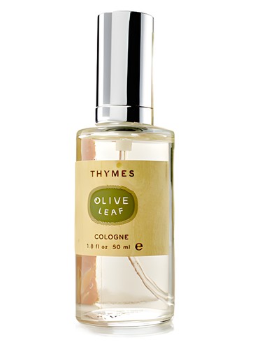 Olive Leaf by Thymes