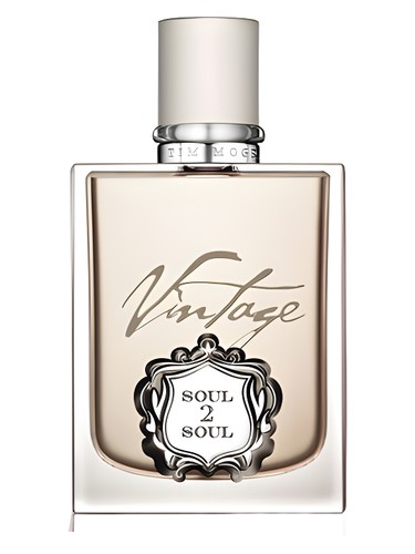 Soul2Soul Vintage by Tim McGraw