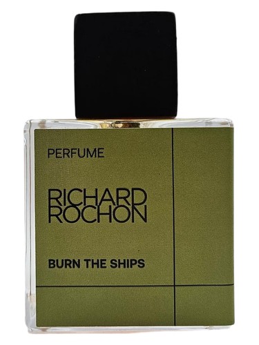 Burn the Ships by Richard Rochon