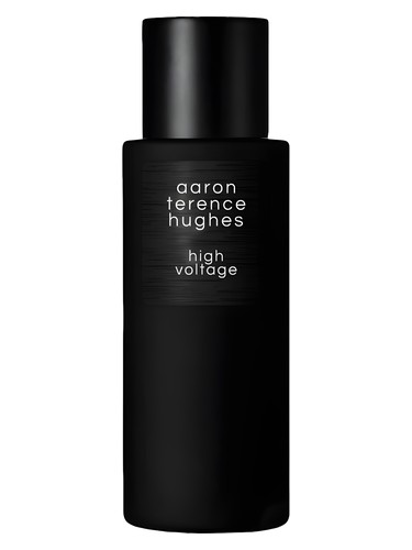 High Voltage by Aaron Terence Hughes