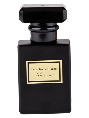 Narcissus by Aaron Terence Hughes