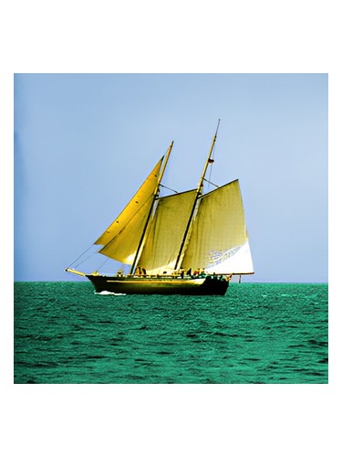 Sea Wood by Abdes Salaam Attars Perfumes