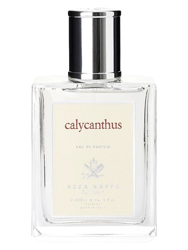 Calycanthus by Acca Kappa