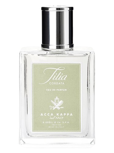 Tilia Cordata by Acca Kappa