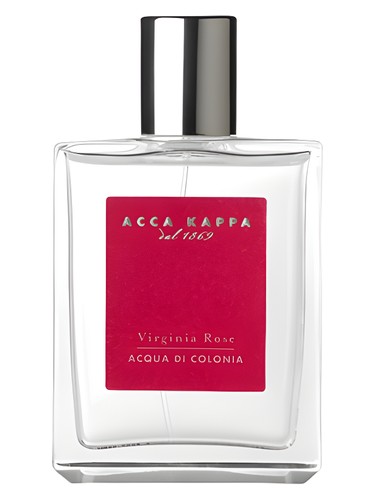 Virginia Rose by Acca Kappa
