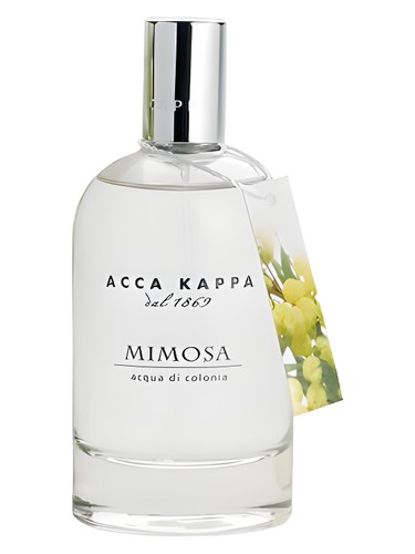 Mimosa by Acca Kappa