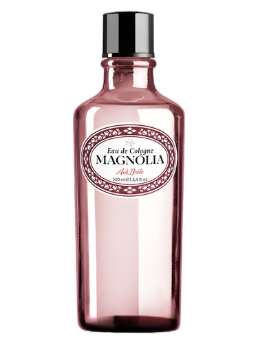 Magnolia by Ach. Brito
