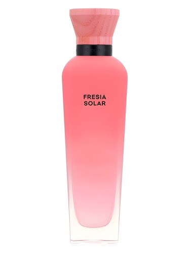 Fresia Solar by Adolfo Dominguez