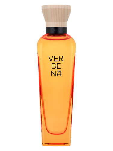 Verbena Mujer by Adolfo Dominguez