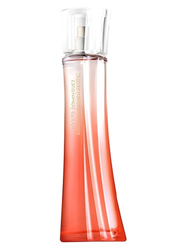 Agua de Bambu Exotic for Her by Adolfo Dominguez