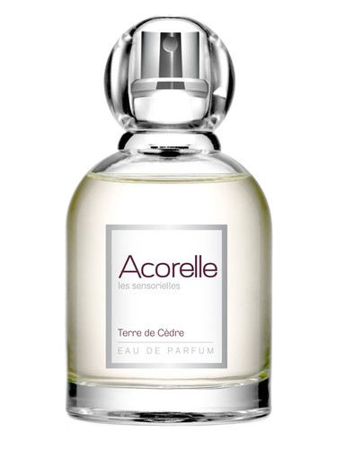 Terre de Cèdre by Acorelle
