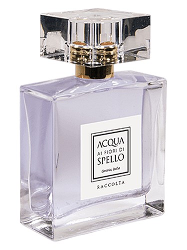 Raccolta by Acqua ai Fiori di Spello