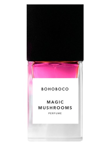 Magic Mushrooms by Bohoboco
