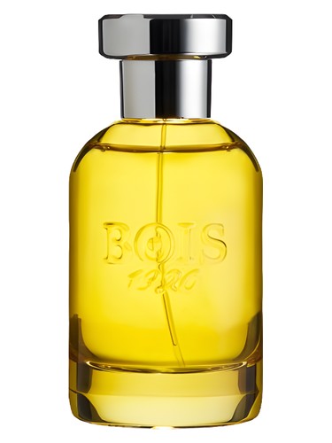 Aethereus by Bois 1920