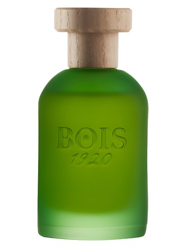 Cannabis by Bois 1920