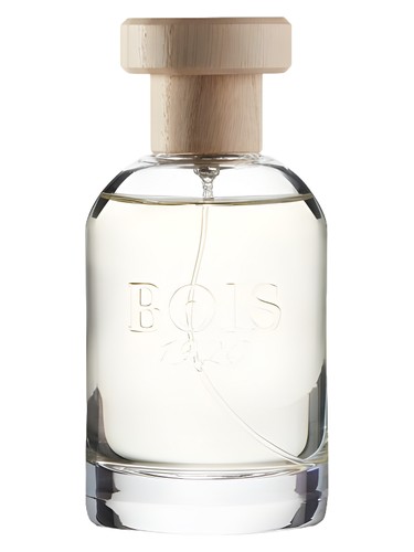 Ancora Amore by Bois 1920