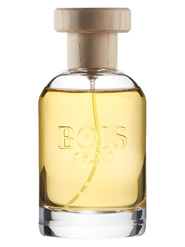 Insieme by Bois 1920