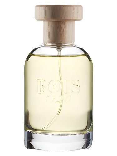 Magia by Bois 1920