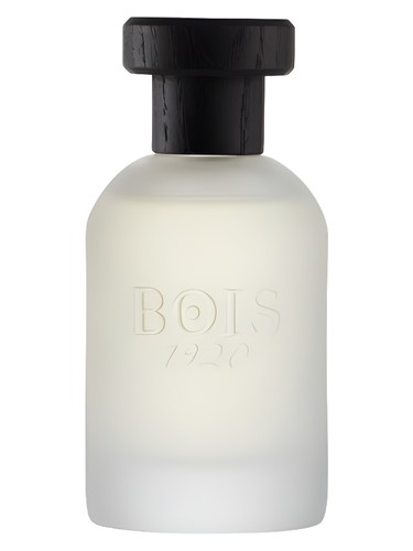 Classic 1920 by Bois 1920