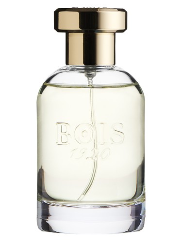 Parana by Bois 1920