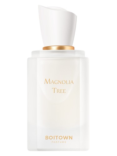 Magnolia Tree 一树玉兰 by Boitown 冰希黎