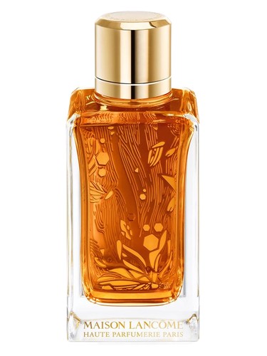 Oud Ambroisie by Lancôme