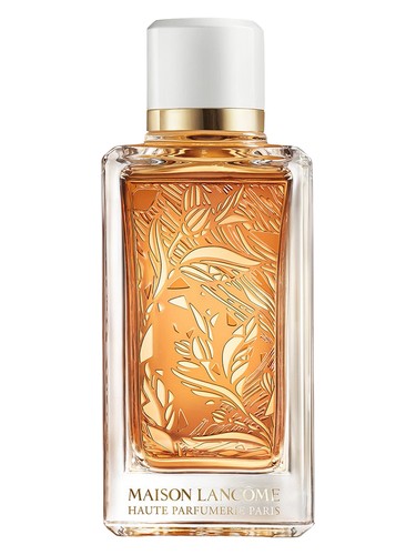 Santal Kardamon by Lancôme