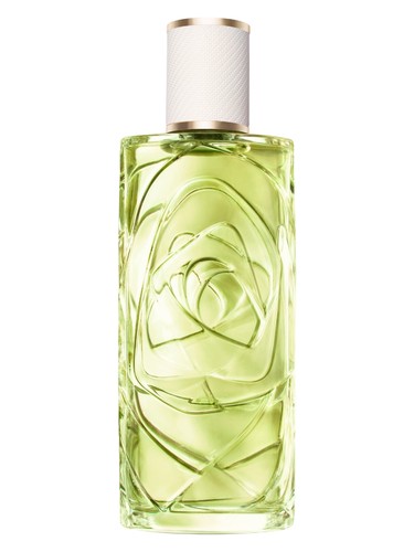 Ôff Now by Lancôme