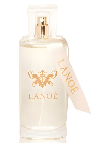 No. 6 by Lanoe