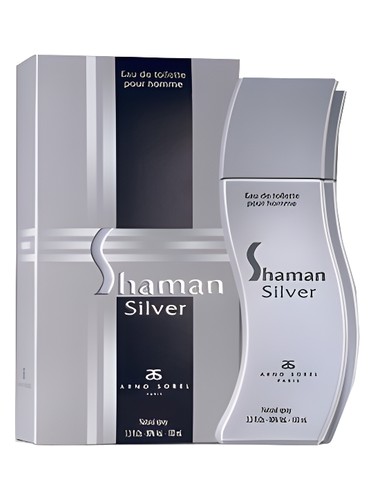 Shaman Silver by Arno Sorel