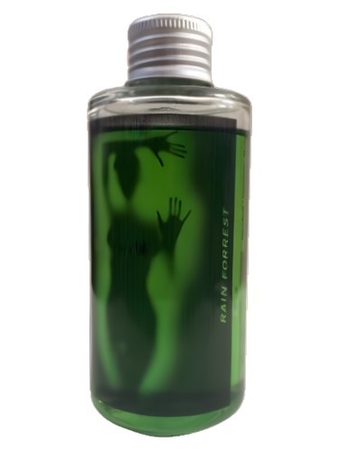 Rain Forest by TFS