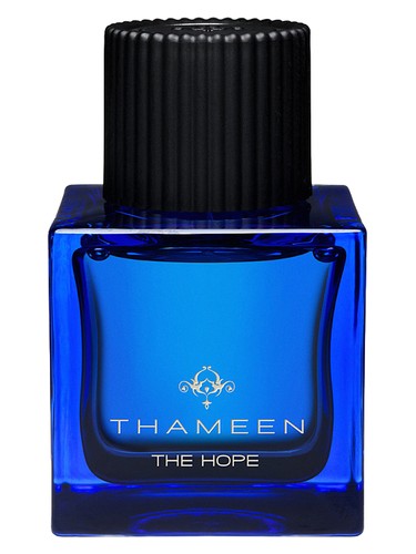 The Hope by Thameen