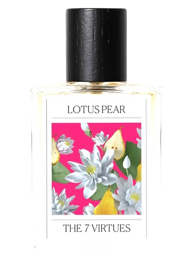 Lotus Pear by The 7 Virtues
