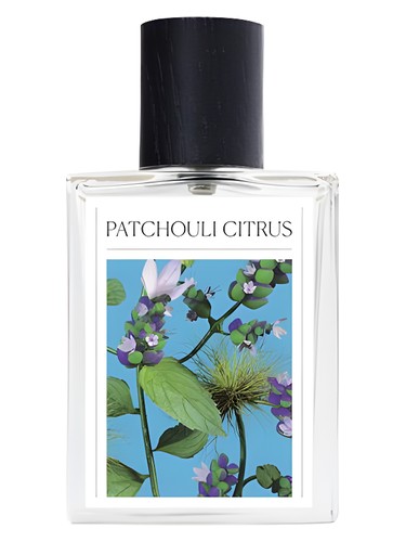 Patchouli Citrus by The 7 Virtues
