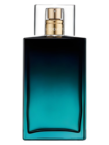 Today Tomorrow Always The Moment Him by Avon