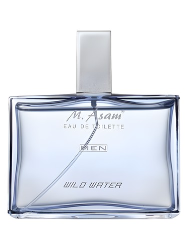 Men Wild Water by M. Asam