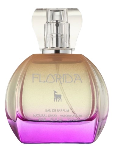 Florida by Kolmaz