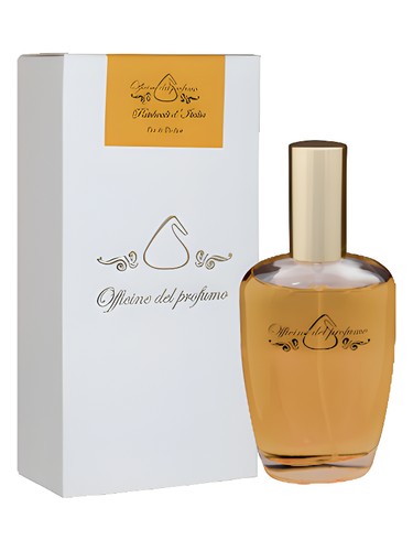 Patchouli d'Italia by Officine del Profumo