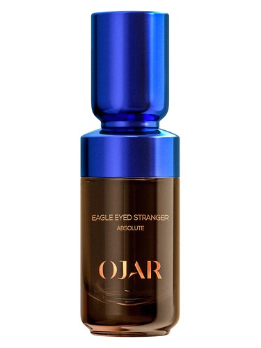 Eagle Eyed Stranger by Ojar