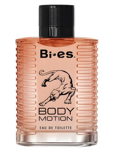 Body Motion by Bi-es