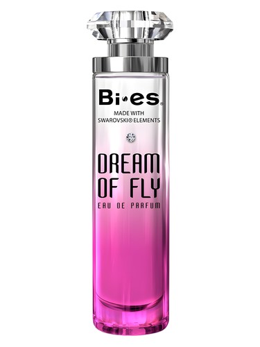 Dream of Fly by Bi-es