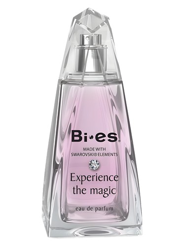 Experience The Magic by Bi-es